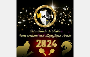 Meilleurs Voeux pour 2024