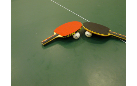 Initiation Tennis de Table - Ecole Primaire &quot;La Miséricorde&quot;